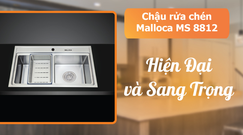 Chậu rửa chén Mallocs MS 8812